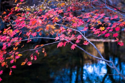 女人被男人桶社交功能